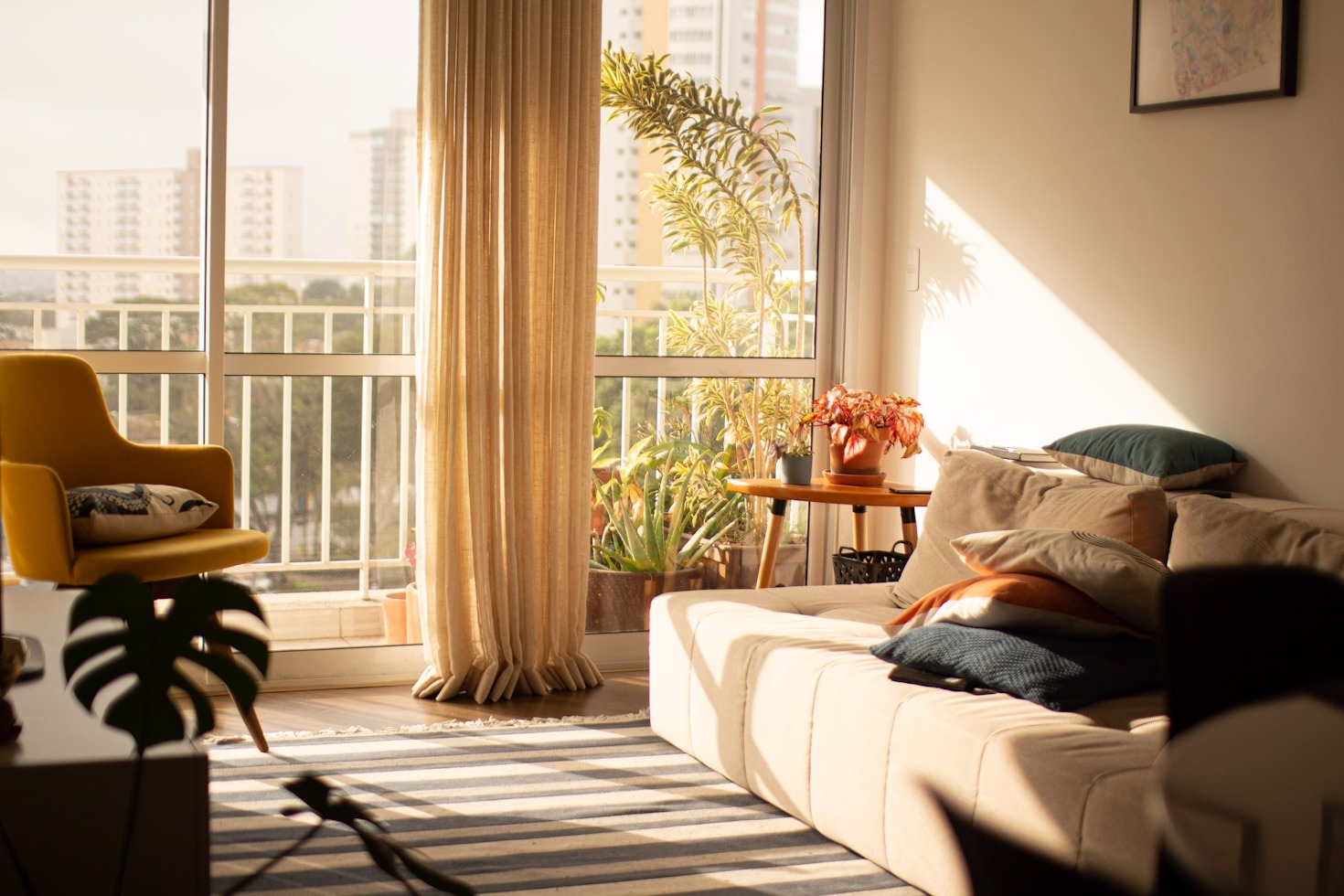 Top 10 Amazon Finds for Apartment Upgrades